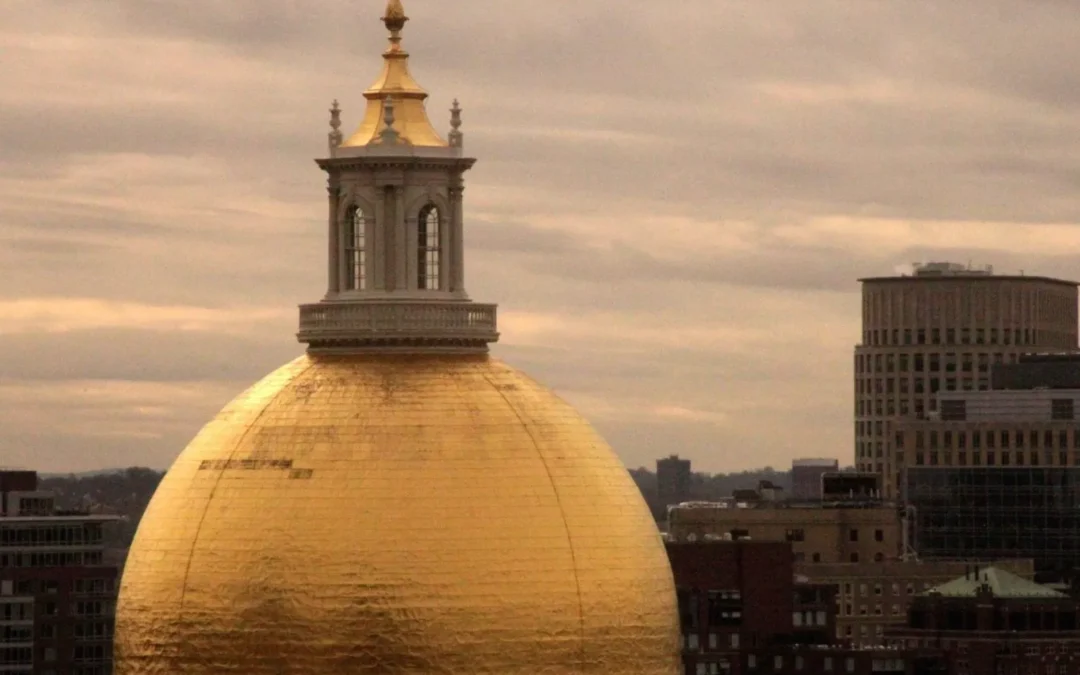 Eleventh-Hour Senate Move Could Upend Tax Rebate Ballot Question